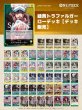 画像1: 緑黄トラファルガーローデッキ【デッキ販売】 (1)