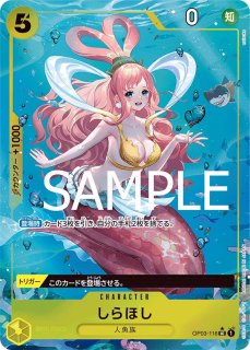 フルアート - カードショップ トレカラフテル