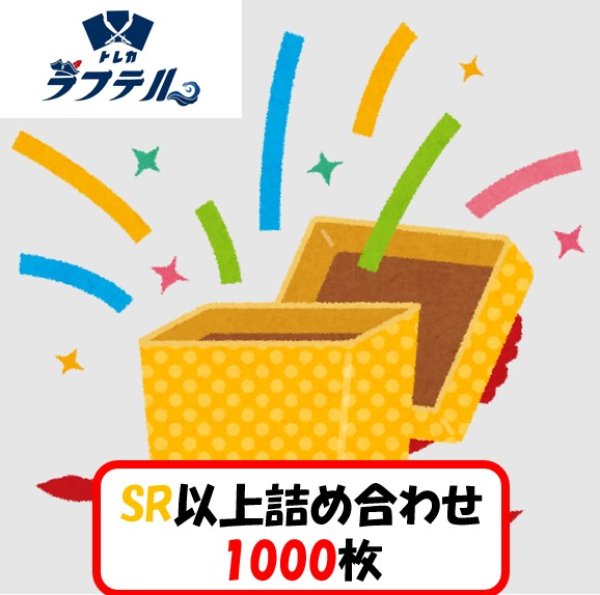 ☆SALE商品☆】特価 SR詰め合わせ 1000枚セット 【セット販売